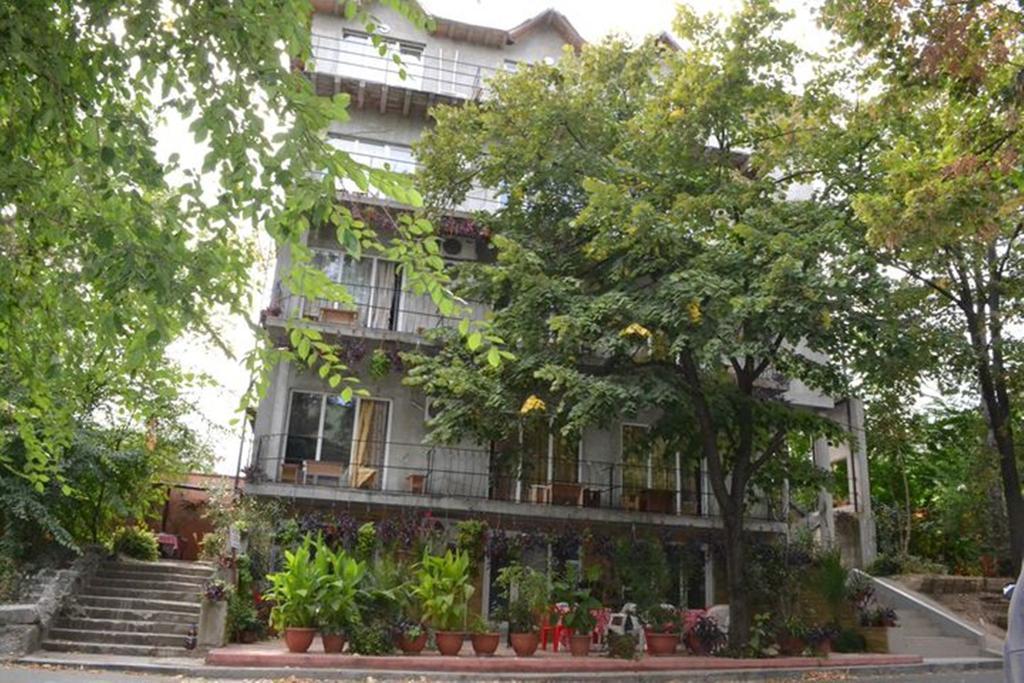 Vila Denisa Эфорие Норд Экстерьер фото